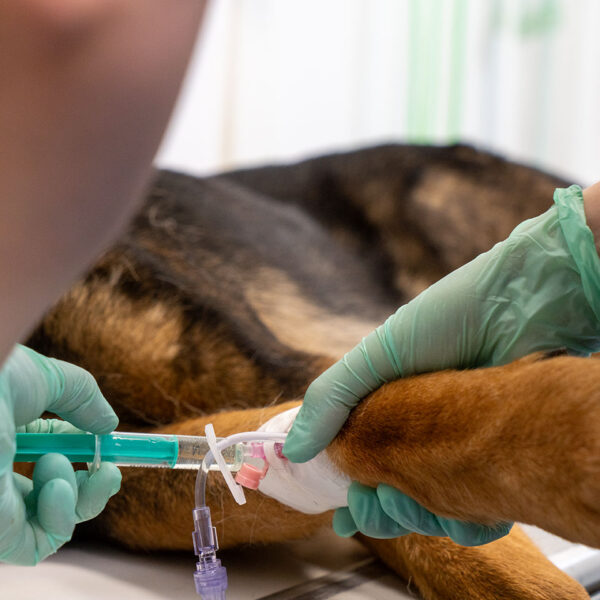 Foto Arbeiten in der Onkologie