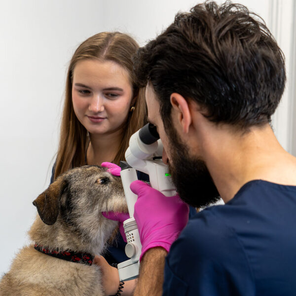 Foto Untersuchung in der Ophthalmologie
