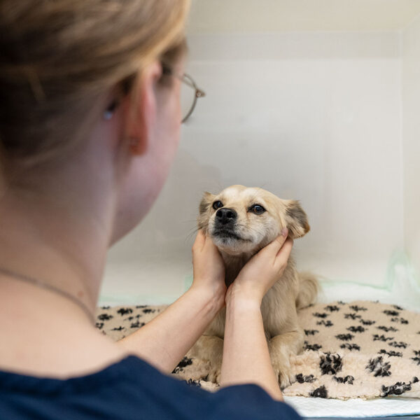 Foto Betreuung Regenerativ